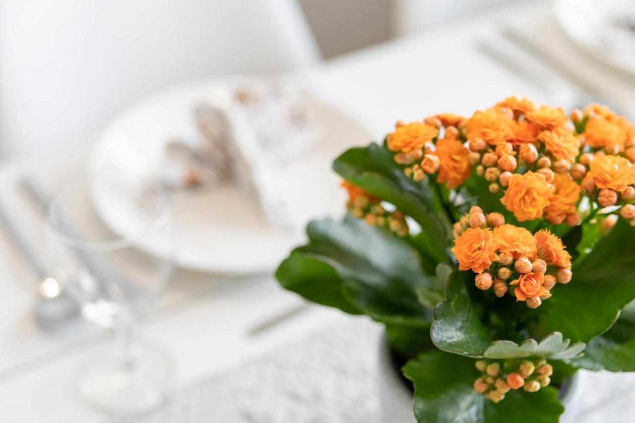 Vasko Luxurious Suites, Kelo Rovaniemi Buitenkant foto